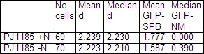 figure-protocol-10994