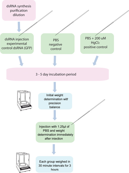 figure-protocol-11836