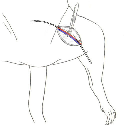 figure-protocol-14998