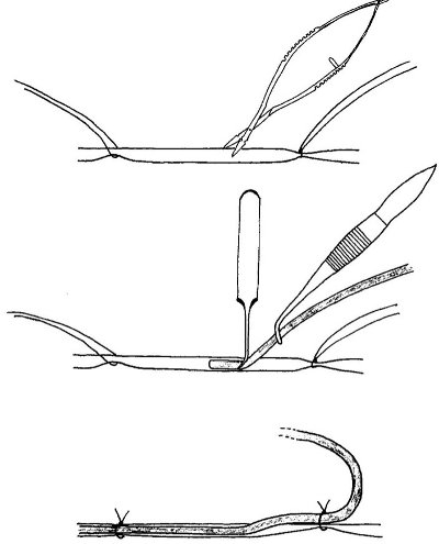figure-protocol-15189