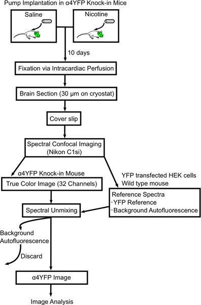figure-protocol-5074