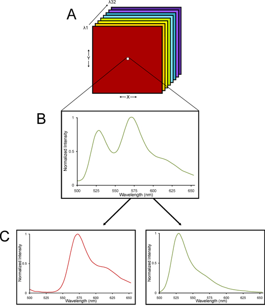 figure-protocol-5359
