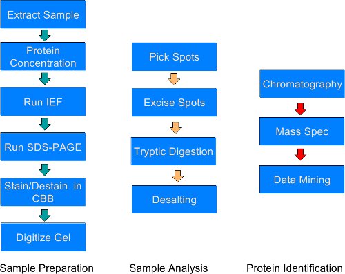 figure-protocol-12809