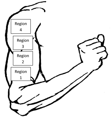 figure-protocol-11980