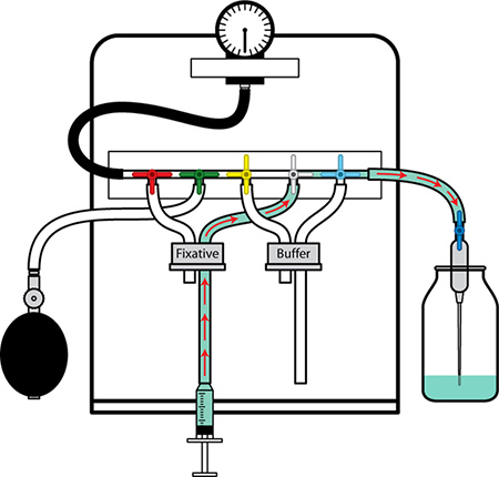 figure-protocol-11070