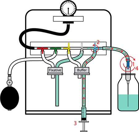 figure-protocol-11525