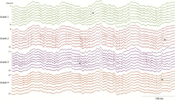 figure-protocol-14631