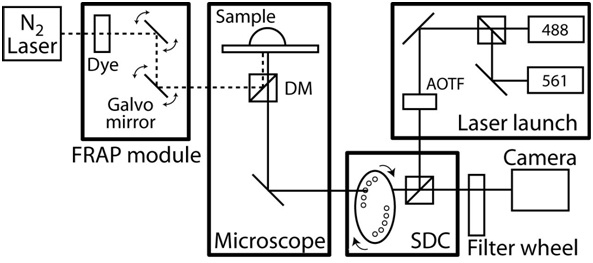 figure-protocol-5884