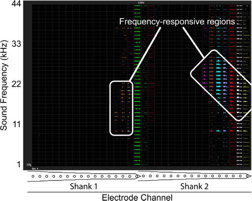 figure-protocol-22224