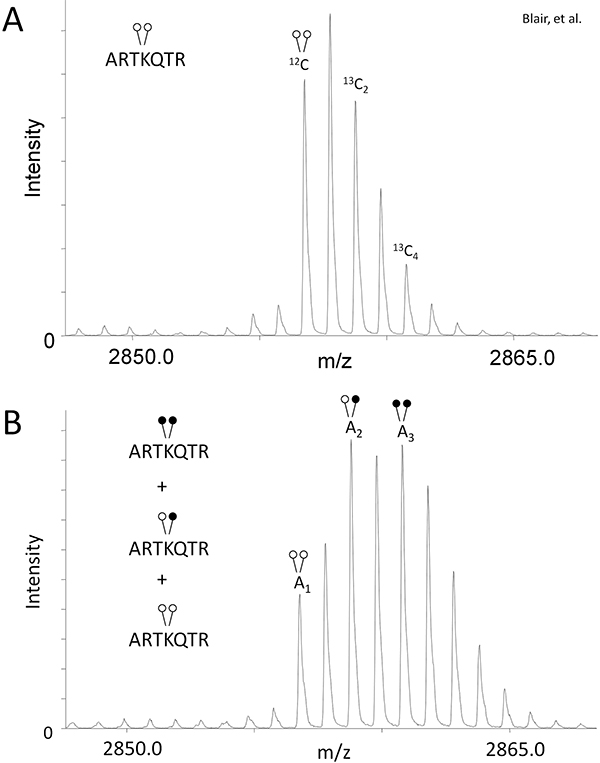 figure-protocol-3103