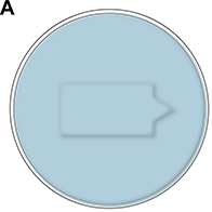 figure-protocol-8168