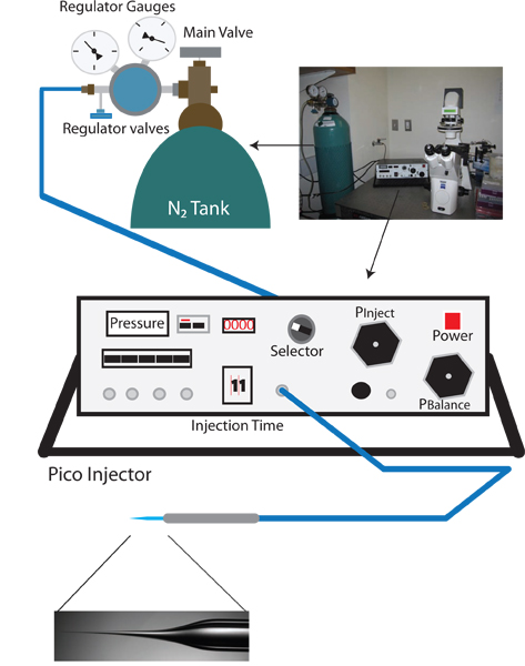figure-protocol-9828