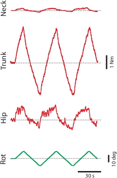 figure-protocol-17501