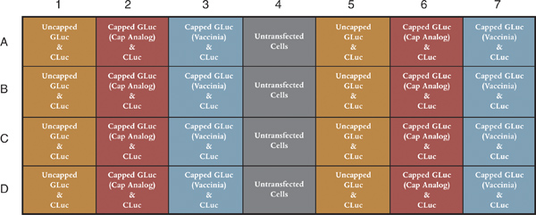 figure-protocol-13803
