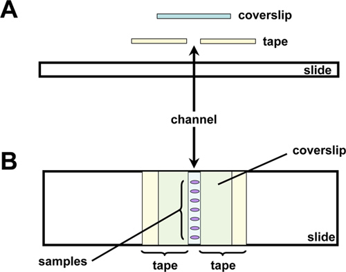 figure-protocol-24990