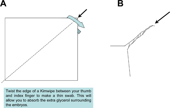 figure-protocol-25174