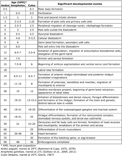 figure-protocol-30970