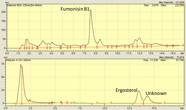 figure-protocol-12458