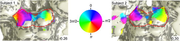 figure-protocol-13959