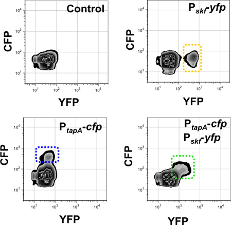 figure-protocol-17294