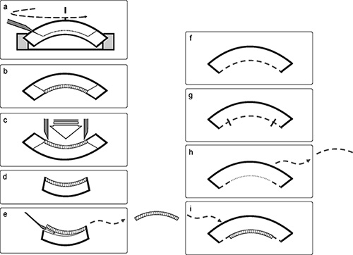 figure-protocol-9253