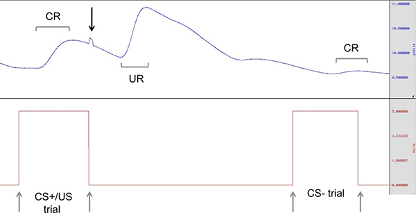 figure-protocol-20240