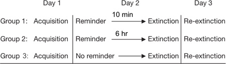 figure-protocol-21347