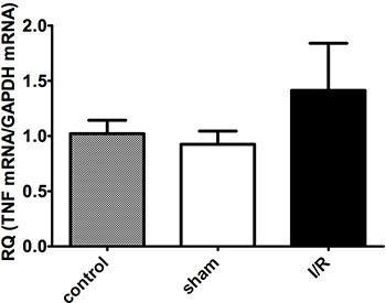 figure-protocol-4679