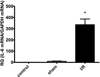 figure-protocol-5078