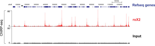 figure-protocol-15267