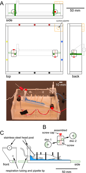 figure-protocol-11422