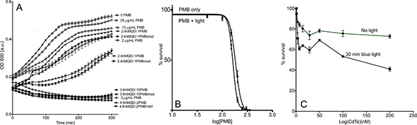 figure-protocol-13758