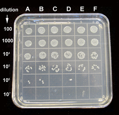 figure-protocol-15725