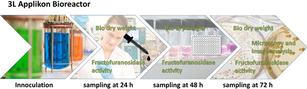 figure-protocol-11260