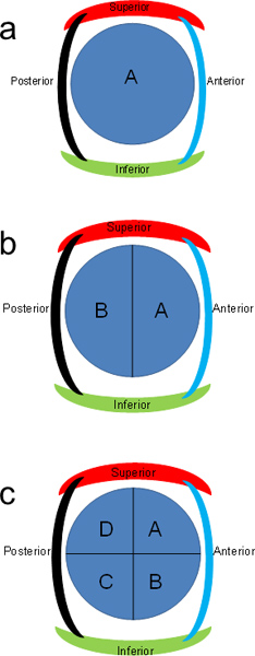 figure-protocol-10590