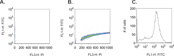 figure-protocol-12960
