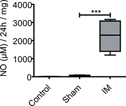 figure-protocol-15966 figure-protocol-15966