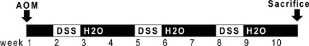 figure-protocol-9882