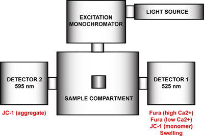 figure-protocol-13611