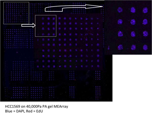 figure-protocol-20766