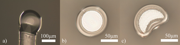 figure-protocol-13543