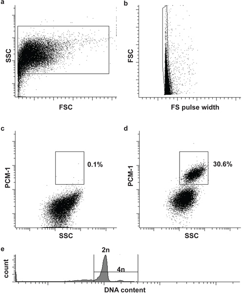figure-protocol-7222