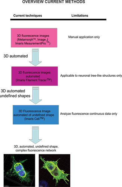 figure-protocol-6553