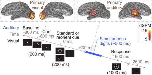 figure-protocol-7025 figure-protocol-7025
