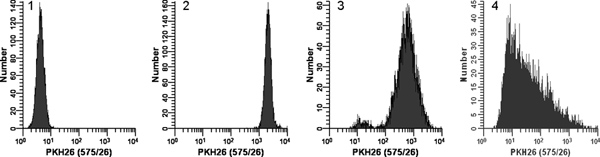 figure-representative results-3646