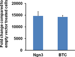 figure-protocol-22212