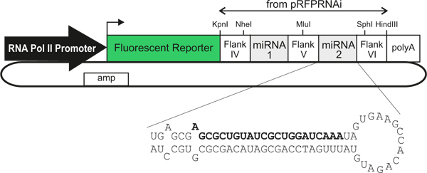 figure-protocol-18382