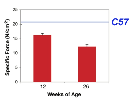figure-results-2613