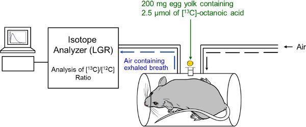 figure-introduction-2869