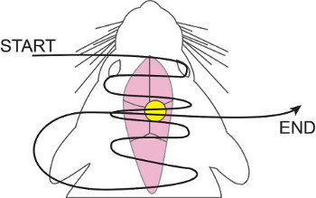 figure-results-6756